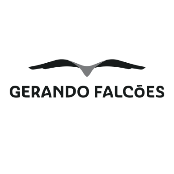 Gerando Falcões